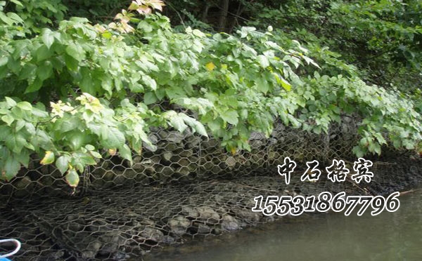 護坡賓格網 護坡賓格網