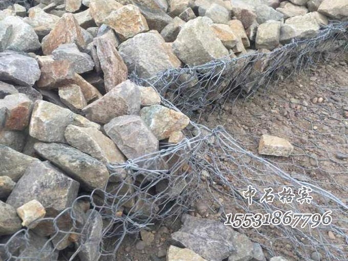 雷諾護墊 雷諾護墊