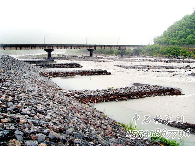 雙隔板雷諾護墊 雙隔板雷諾護墊
