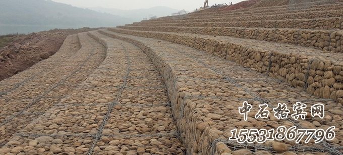 鍍高爾凡雷諾護墊.jpg 鍍高爾凡雷諾護墊.jpg