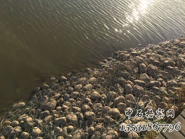 賓格網(wǎng).jpg 賓格網(wǎng).jpg