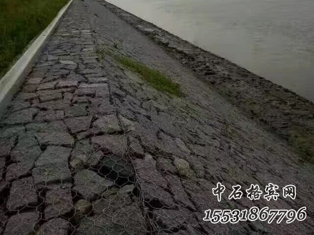 格賓雷諾護墊.jpg 格賓雷諾護墊.jpg