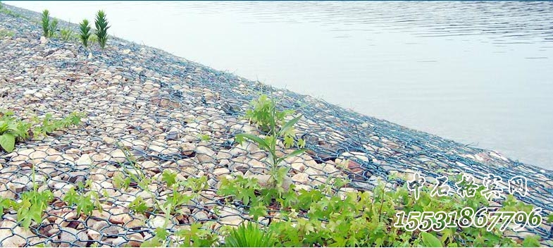 綠濱墊護(hù)岸 綠濱墊護(hù)岸